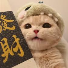 Ảnh đại diện của người dùng 6